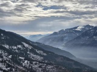 The Pine Pause-Hallan-i - 1