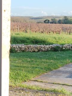 L'Edenwine - Doulezon - 5