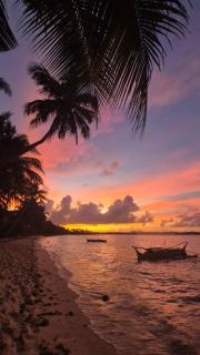 Native Cottage, Private Beach Access, Ocean 9, Queen bed, Wifi, AC - General Luna - 5