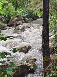Suryas Home Stay - Devikolam - 6
