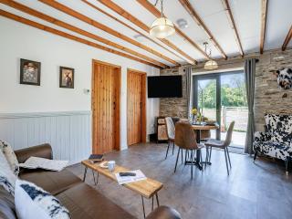 The Old Cowsheds 4 - Daniel Ddu - Uk49789 - Cribyn - 9