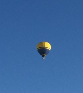 The Blue Wren - Branxton - 3