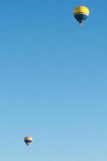 The Blue Wren - Branxton - 4