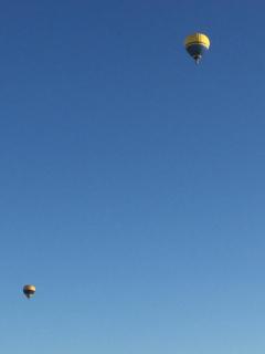 The Blue Wren - Branxton - 7