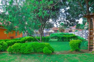 Gorilla Land Guest House - Kisoro - 6