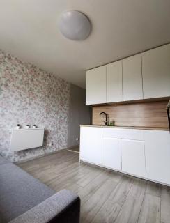Centrum Siennicka apartament - Danzig - 4