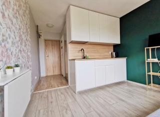 Centrum Siennicka apartament - Danzig - 1