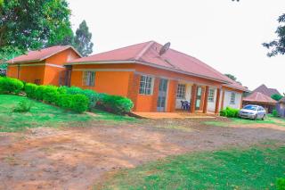 Gorilla Land Guest House - Kisoro - 9