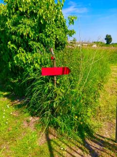 La petite maison rouge - 2