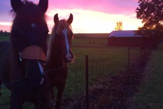 3 Bedroom Private Ranch Experience - - 4