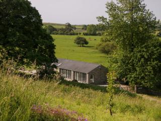 Limestone - Ulverston - 7