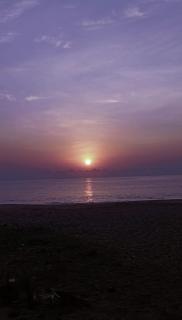 The Tottam Beach Hotel - Trincomalee - Trincomalee - 8