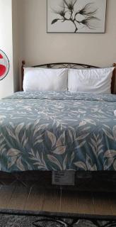 Tower 1 - One Madison Luxury Residences 5M - Mandurriao - 6