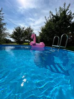 Ferienwohnung Rupp Bergblick & private Sauna - 9