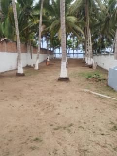 The White House at Beach - Lo de Marcos - 7