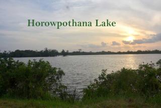 Helankada Hidden Lodge - - 8