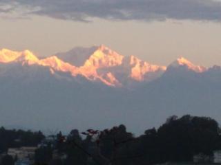The Erina House - Darjeeling - 7