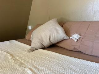 Glamping Stay at Perhentian Island - 3