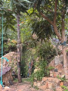 Paradise Glamping - 3