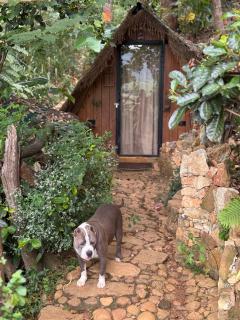 Wild Heart Glamping - Ella - 1