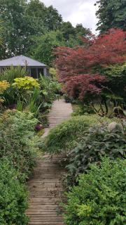 Tropical Garden Oasis Rooms - Birmingham - 9