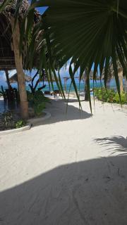 Milele Beach Resort - Pingwe - 7