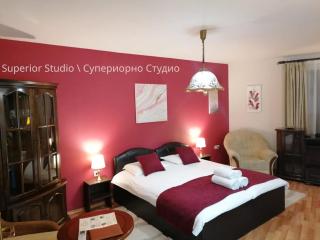 Petkov Family Hotel - Blagoevgrad - 9