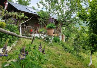 Karma Classic Tiny House above the city - Tetovo - 7