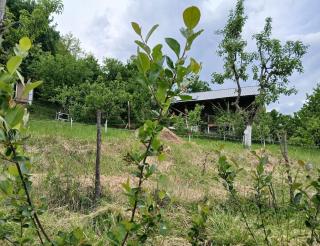 Karma Classic Tiny House above the city - Tetovo - 2