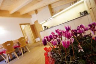 Apartments. Ambria - 4