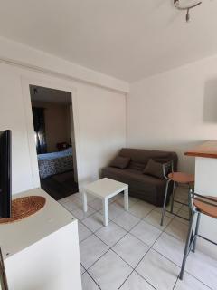 101 Appartement - Saint-Étienne - 2