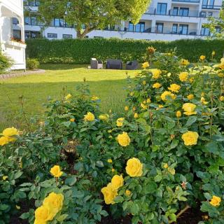 Seeglück - Binz - 2