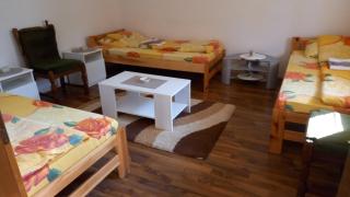 Tijanić Apartment Piva Lake - 3