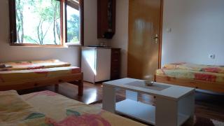 Tijanić Apartment Piva Lake - 5