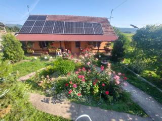 Casa de vacanta in Tara Fagarasului - Beclean - 8