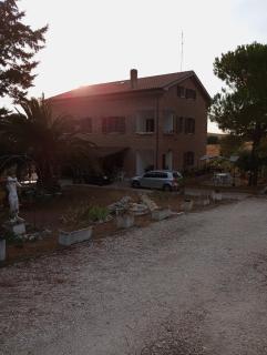 Oasi verde - Senigallia - 5