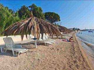 AURORA apartment - 70 m from the sea - Vrsi - 1