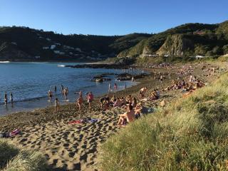 Incredible Views - Wellington - 3