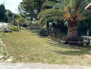 Oasi verde - 2