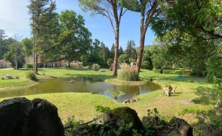 Domaine de Bellevue CHAMBRE D'HÔTES - Beaumes-de-Venise - 9