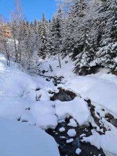 AU PIED DES PISTES 4 Personnes avec balcon - Saint-François-Longchamp - 2
