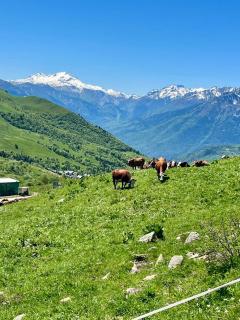 AU PIED DES PISTES 4 Personnes avec balcon - Saint-François-Longchamp - 4
