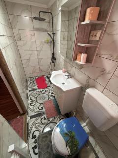 Pensiunea Vilcan - 5