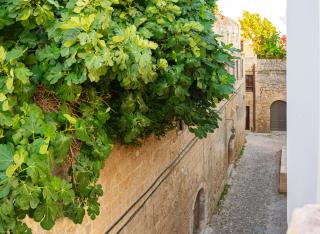 Ottoman's Manor - Città di Rodi - 2