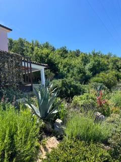 Villa El Istria - Labin - 6