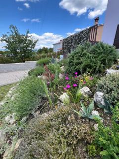 Villa El Istria - Labin - 5
