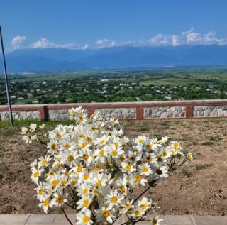 Panorama Paradise - 5