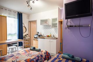 Cozy compact studio France - Saint-Louis - 9