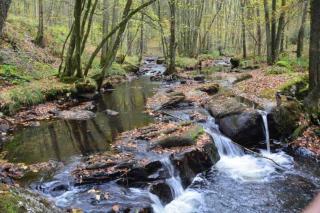 Le Gîte d'Orpha #2 - 4