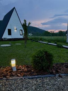 MOUNTAINS HUT - Mykulychyn - 8
